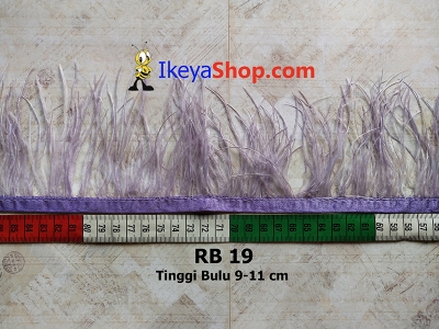 RB 19  large2